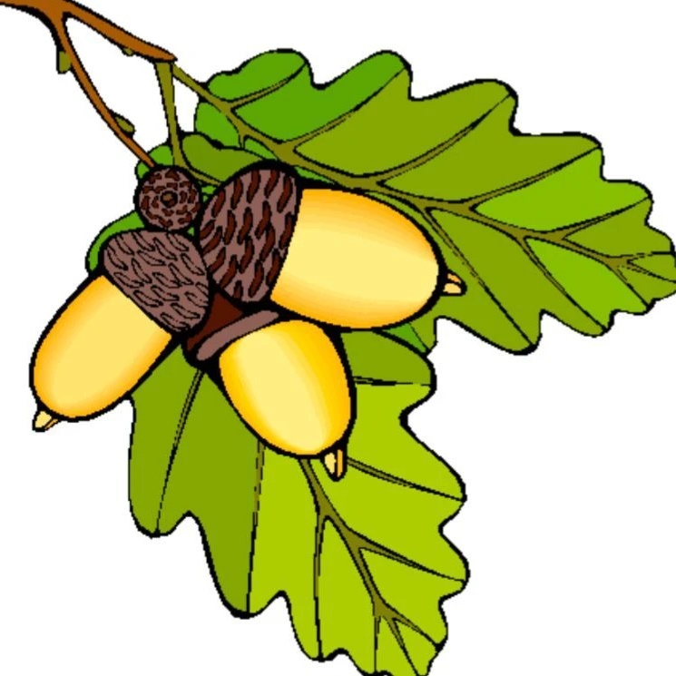 Иконка Канал МБДОУ "Детский сад № 16 г. Йошкар-Олы "Дубок" — портал Max