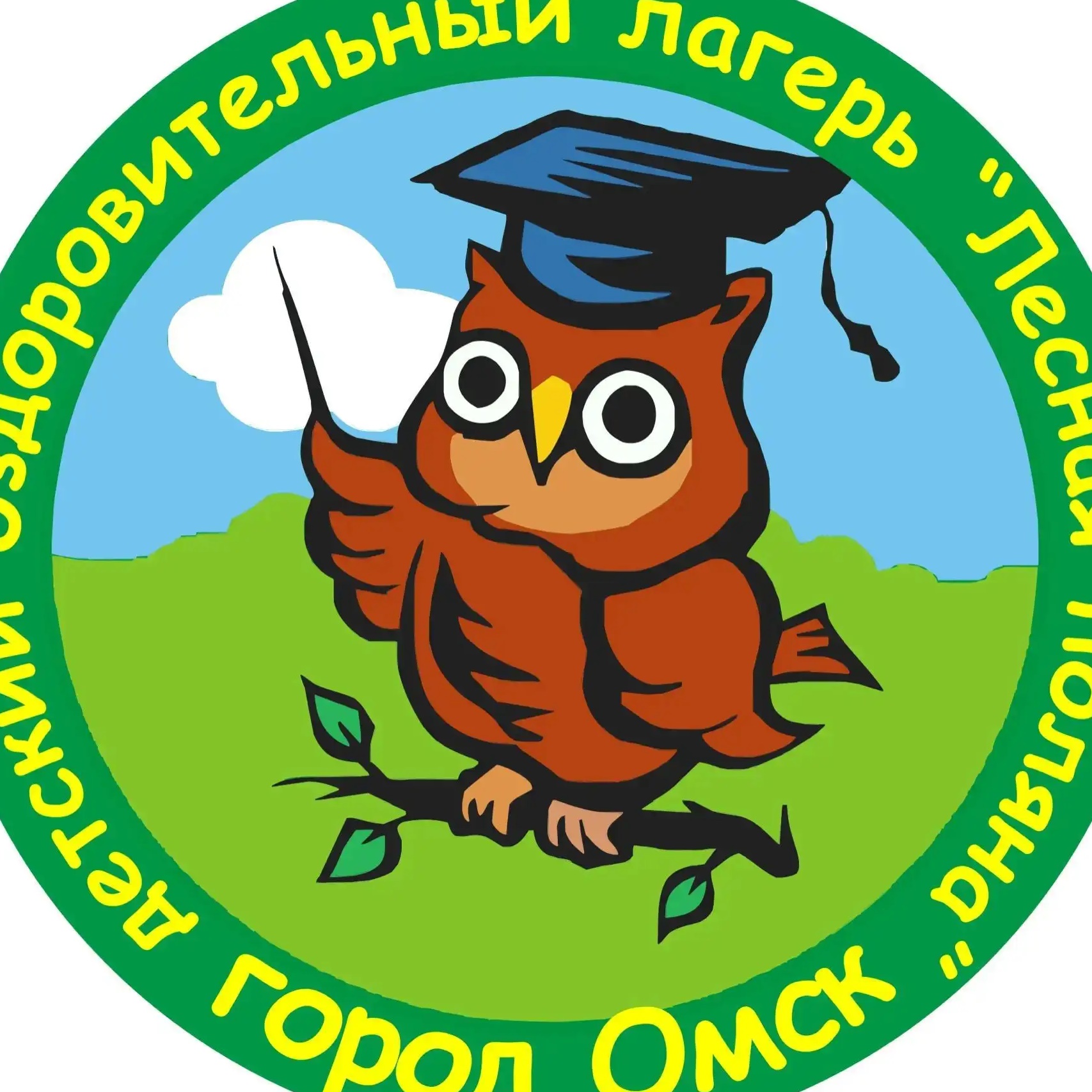 Иконка Канал БУ г. Омска ДОЛ "Лесная поляна" — портал Max