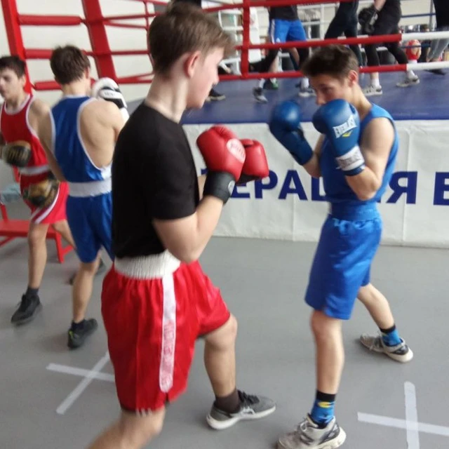 Иконка Канал МБУ ДО "Рубежанская спортивная школа" — портал Max