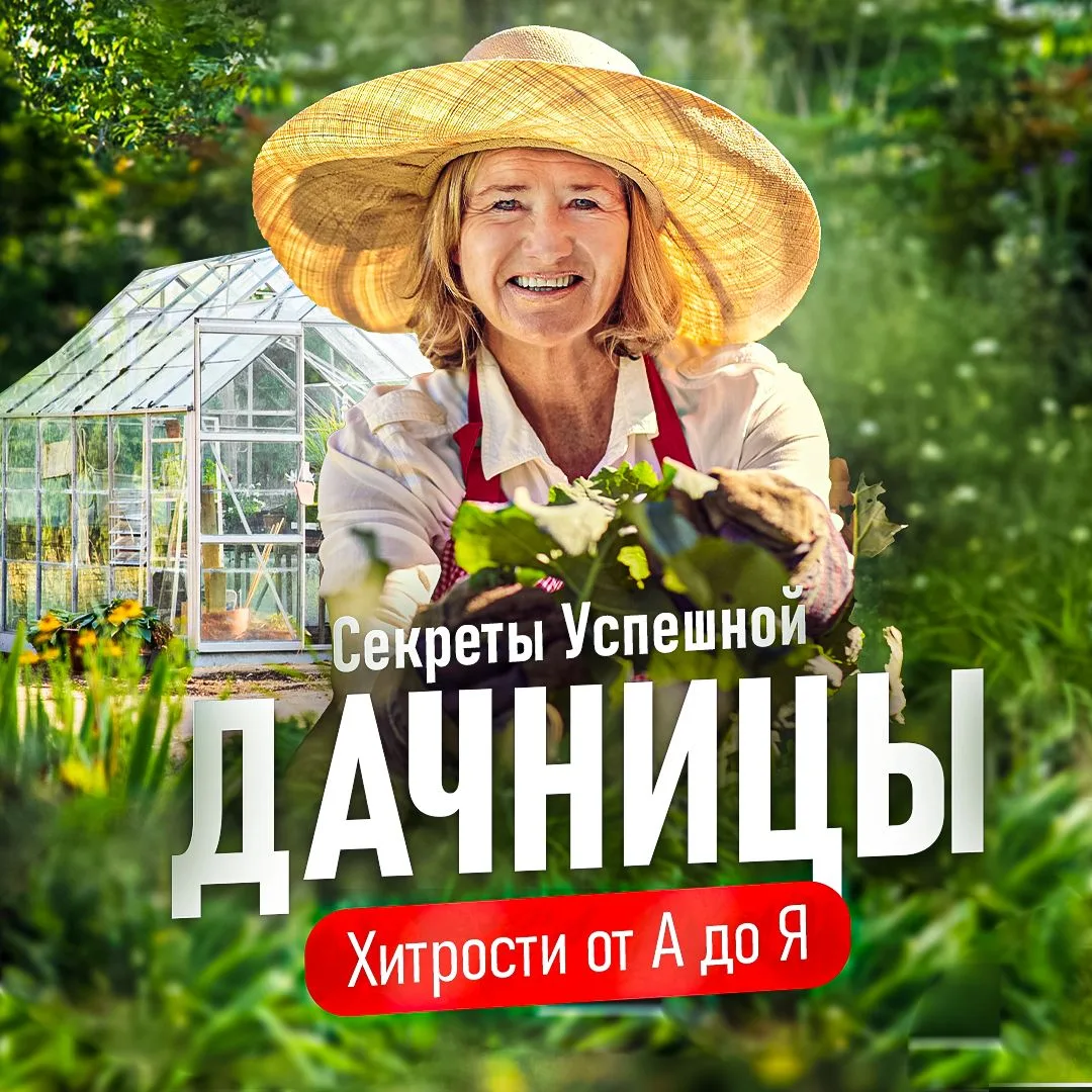 Иконка Канал Секреты Успешной Дачницы — портал Max