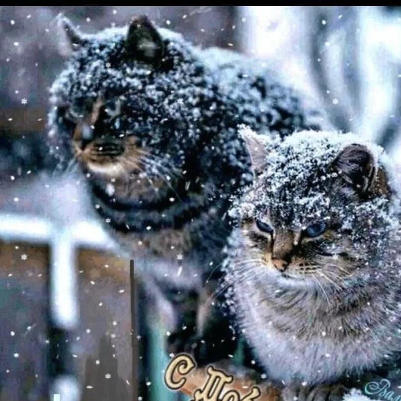 Иконка Канал Радуга — портал Max