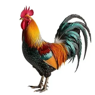 Иконка Канал МАДОУ № 58 — портал Max