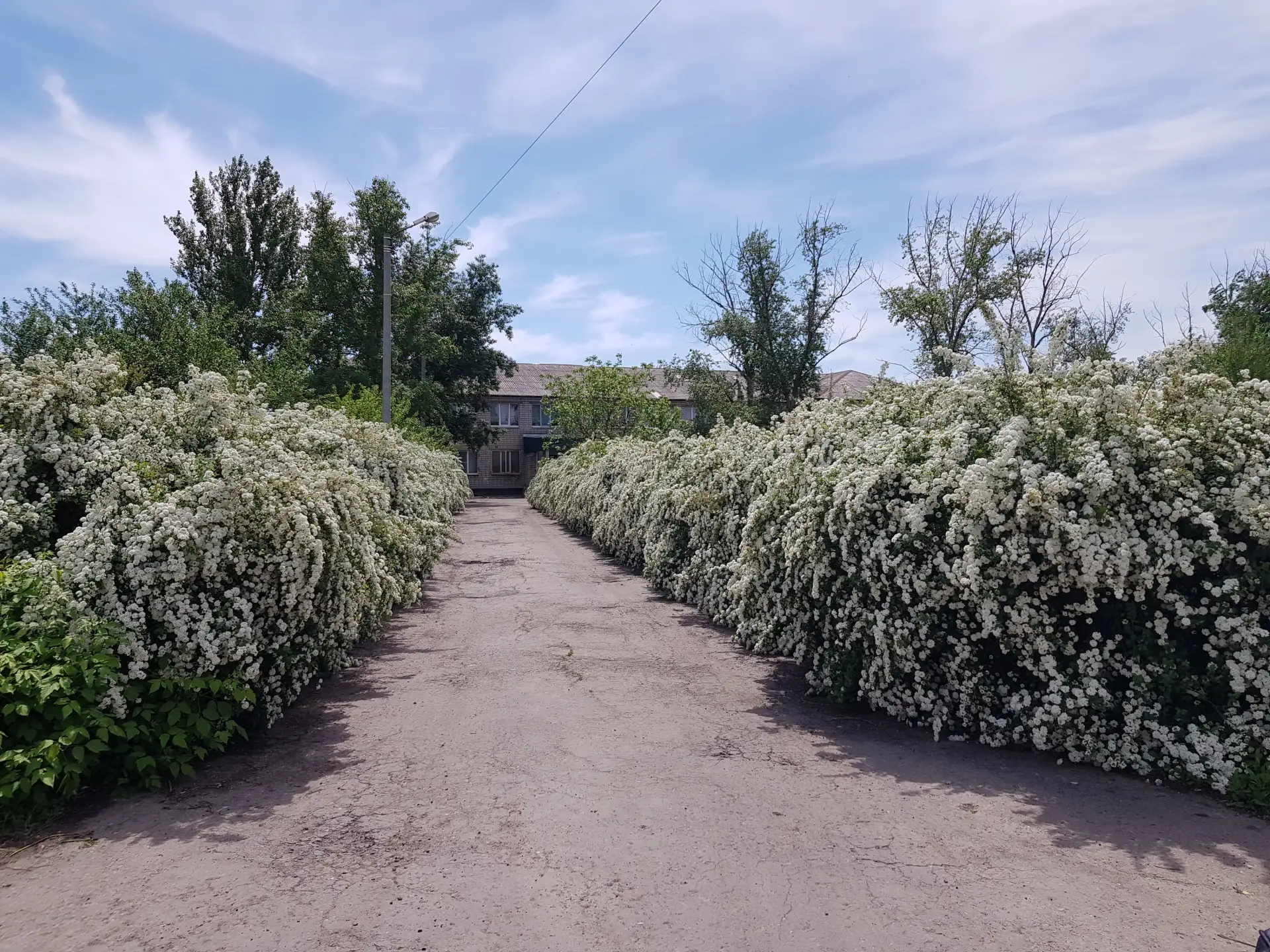 Иконка Канал Платовская школа - лучшая школа в мире! — портал Max