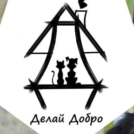 Иконка Канал ДЕЛАЙ ДОБРО Бездомные Животные Волгодонска — портал Max
