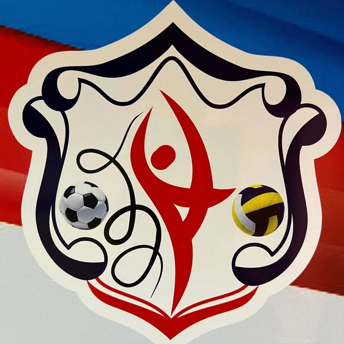 Иконка Канал МАУДО "Спортивная школа № 2" — портал Max