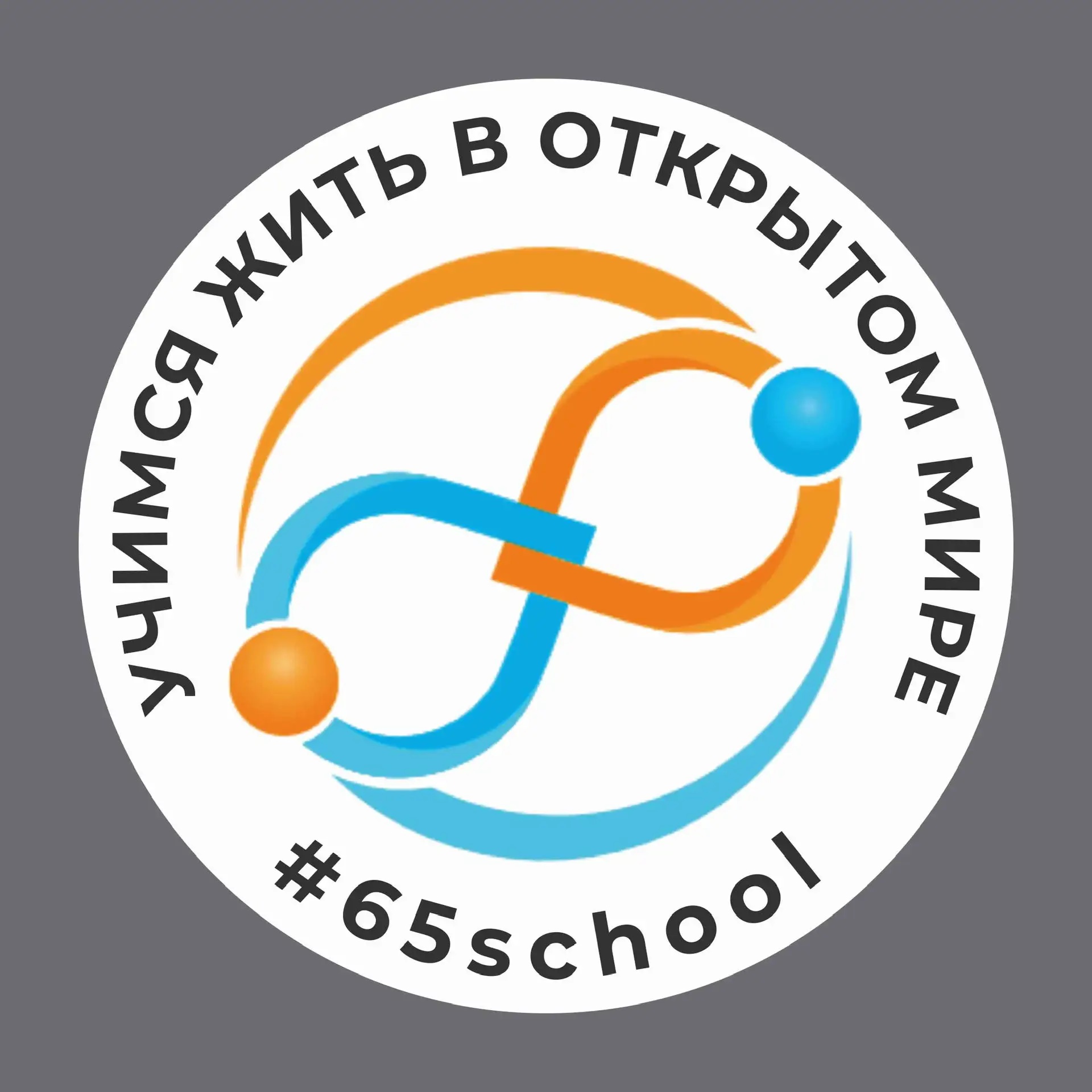 Иконка Канал МАОУ «СОШ N 65» г.Перми — портал Max