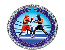 Иконка Канал МБУДО СШОР по боксу г. Белгорода — портал Max