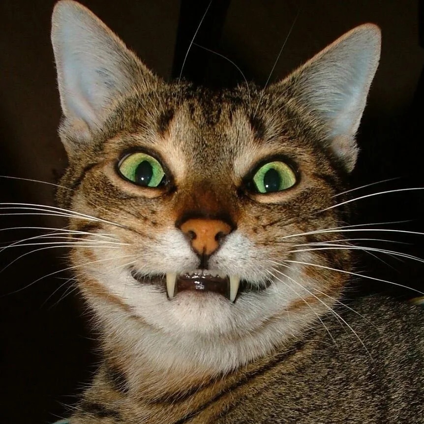 Иконка Канал Вот это прикол! — портал Max