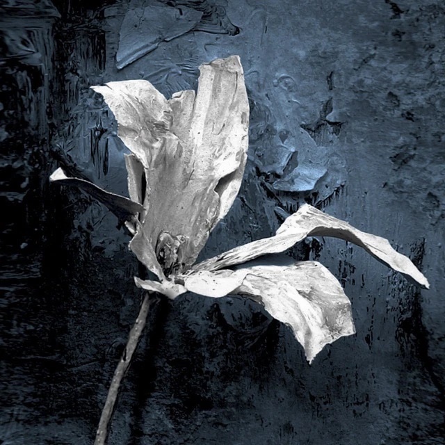 Иконка Канал Воронежский Академический Театр Драмы — портал Max