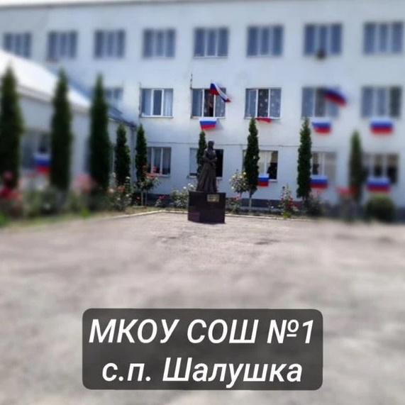 МКОУ "СОШ №1" с.п. Шалушка — Канал Макс рейтинг МКОУ "СОШ №1" с.п. Шалушка