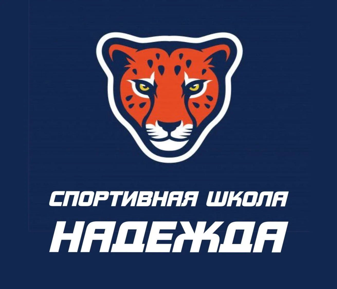 Иконка Канал Спортивная школа «Надежда» и ФОК п. Новый — портал Max