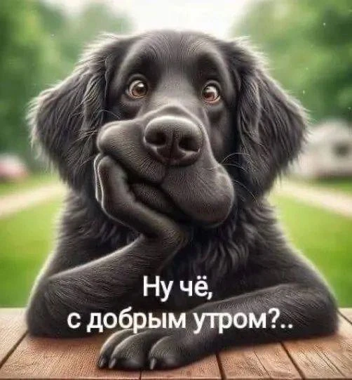 Аватар Канал ЮМОР В КАРТИНКАХ! — рейтинг Max