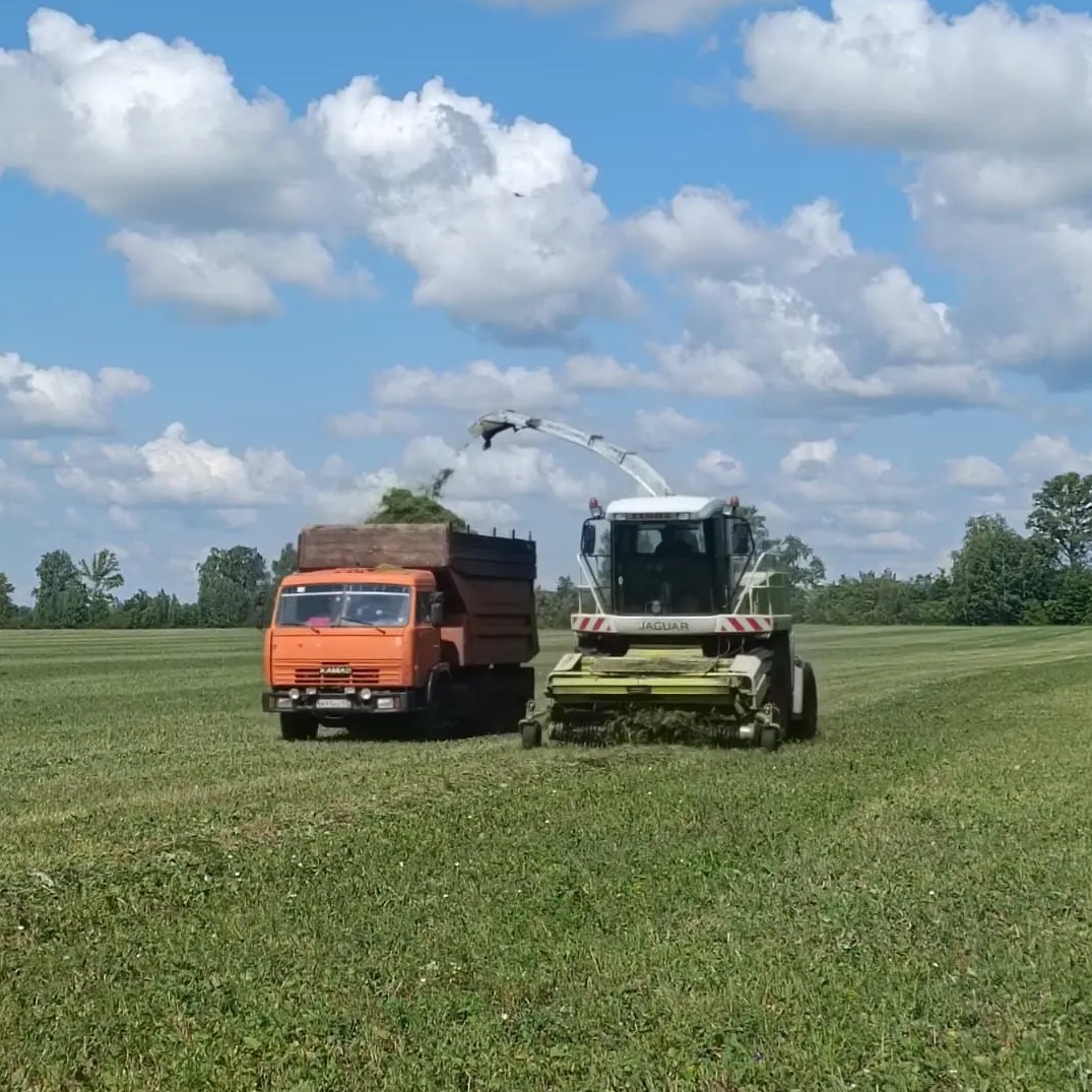 Иконка Канал МБУ"Управление сельского хозяйства МР Буздякский район РБ" — портал Max