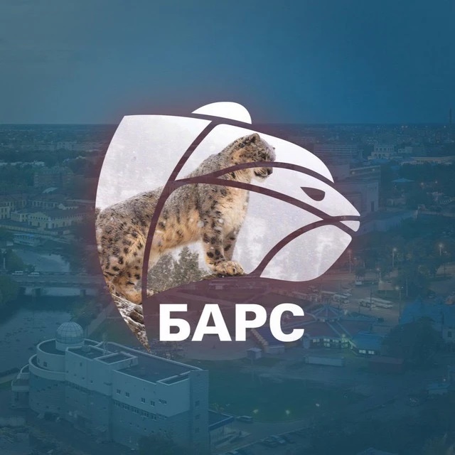 Иконка Канал IvanovoNEWS | Барс | Новости | Иваново — портал Max