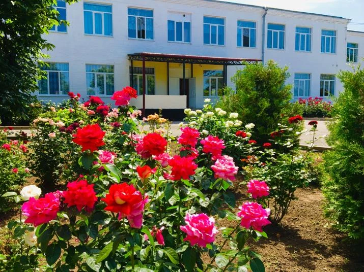 Иконка Канал МБОУ Богородицкая СОШ № 20 — портал Max