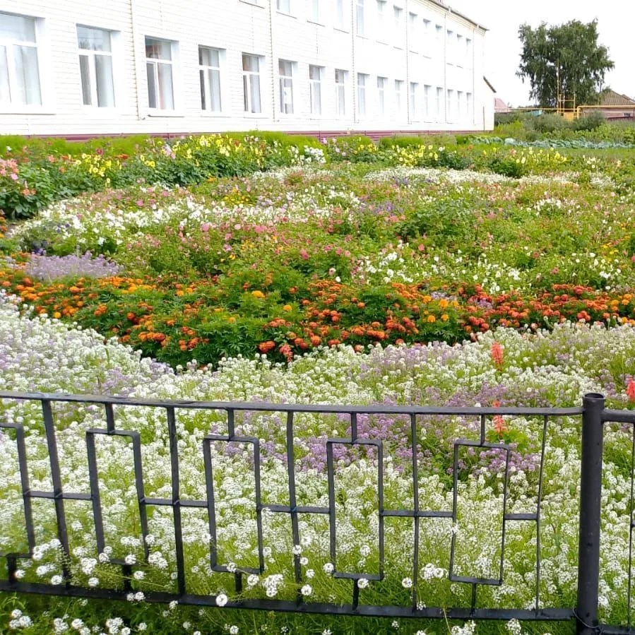 Крутинская гимназия — Канал Макс рейтинг Крутинская гимназия