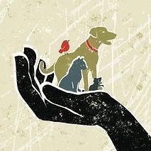 ОГБУ "Островская рай СББЖ" Костромской области — Канал Макс рейтинг ОГБУ "Островская рай СББЖ" Костромской области