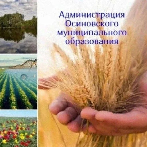 Иконка Канал Администрация Осиновского муниципального образования — портал Max