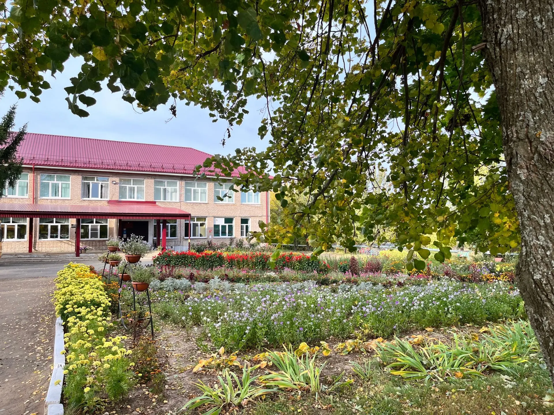 МОУ «Новомоньинская СОШ» — Канал Макс рейтинг МОУ «Новомоньинская СОШ»