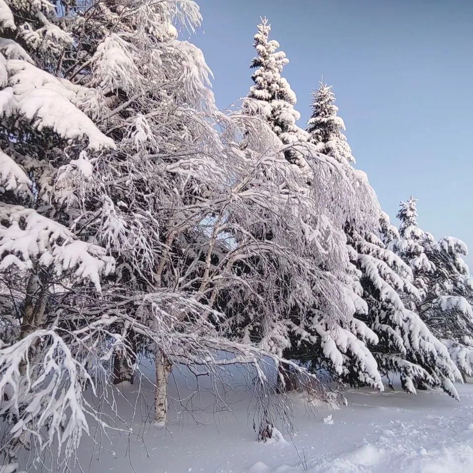Иконка Канал Администрация сельского поселения "Окунев Нос" — портал Max