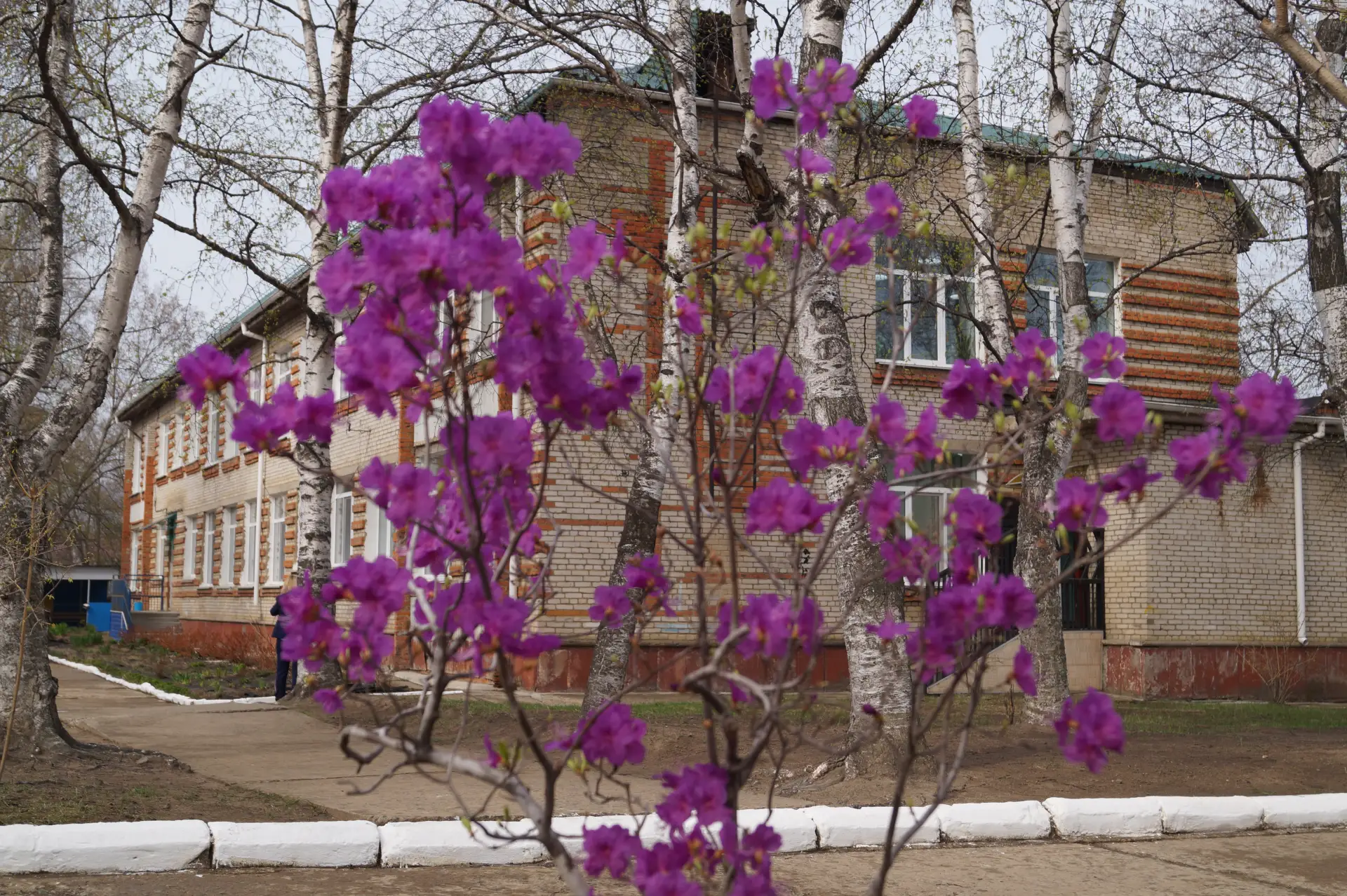 Иконка Канал МБДОУ Детский сад № 1 "Солнышко" города Фокино Приморского края — портал Max