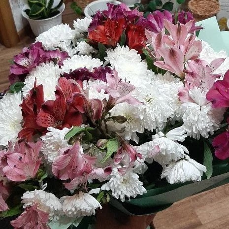 Иконка Канал Татарско-Елтанский детский сад — портал Max