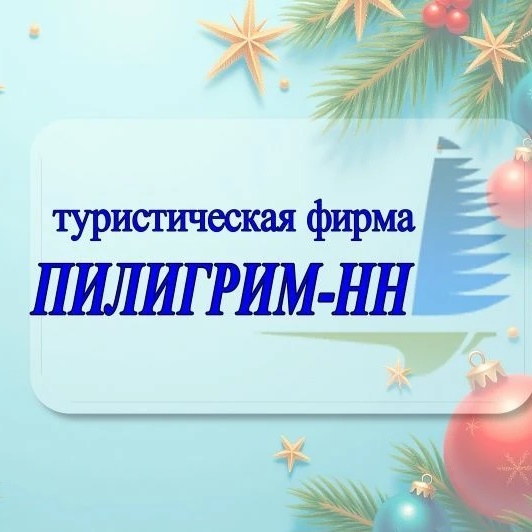 Иконка Канал ПИЛИГРИМ-НН ⛵️ — портал Max