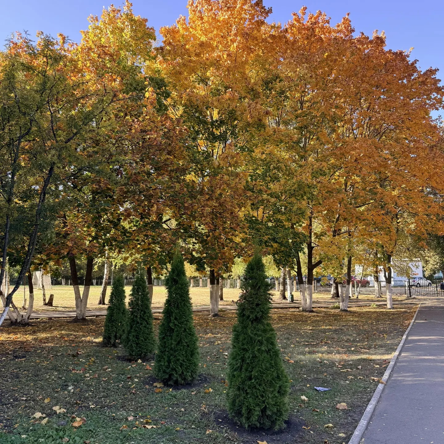 Иконка Канал МБОУ СОШ №63 г.Пензы — портал Max