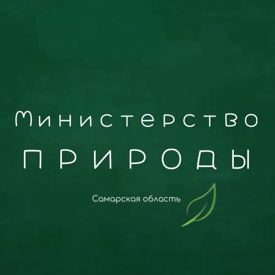 Иконка Канал Минприроды Самарской области — портал Max