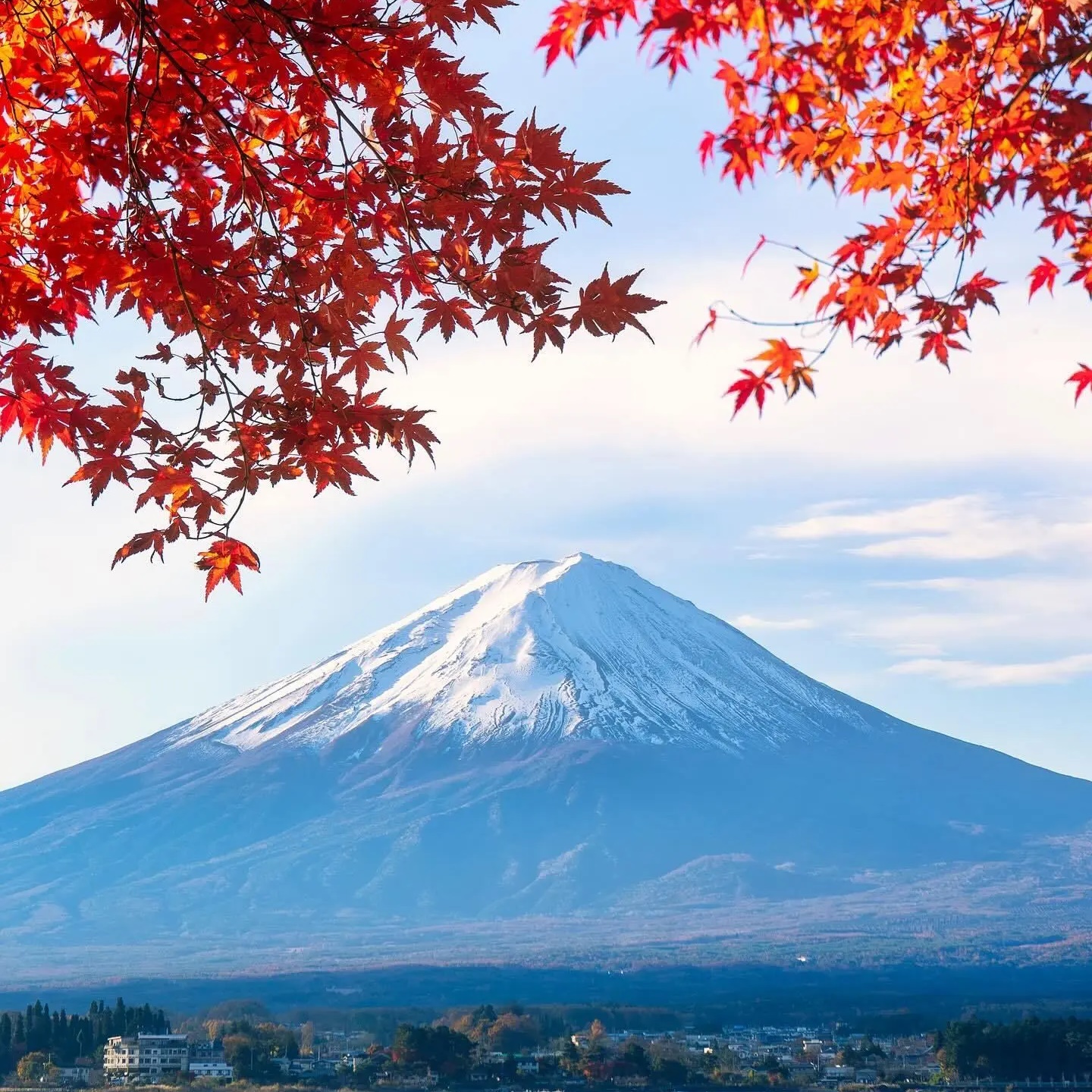 Иконка Канал Dreams About Japan • Япония — портал Max