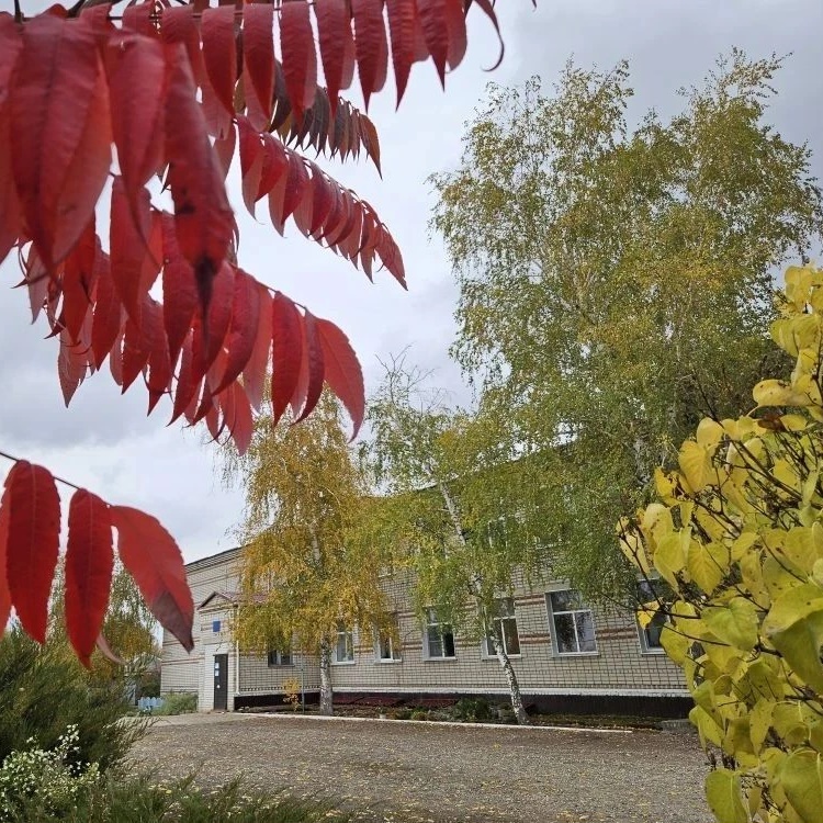 Иконка Канал МБОУ БОЛЬШЕБАБИНСКАЯ СШ — портал Max