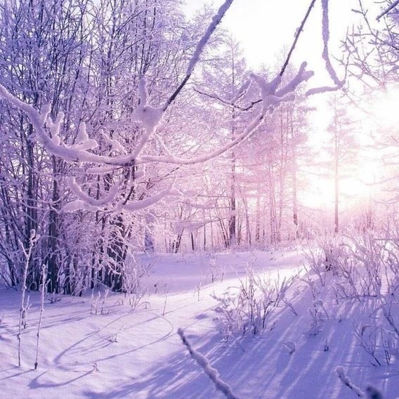 МОУ СОШ с.Сохондо — Канал Макс рейтинг МОУ СОШ с.Сохондо