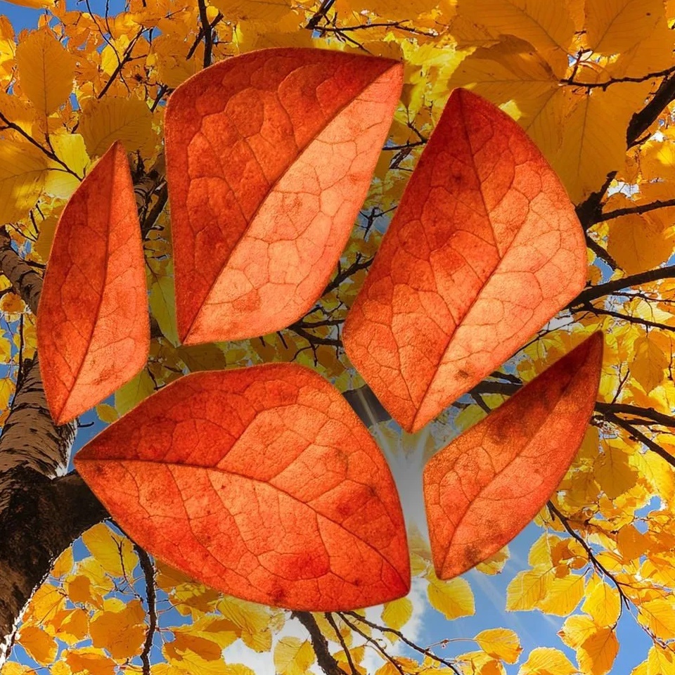 Живая Планета — Канал Макс рейтинг Живая Планета