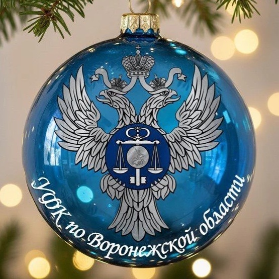 Иконка Канал УФК по Воронежской области — портал Max