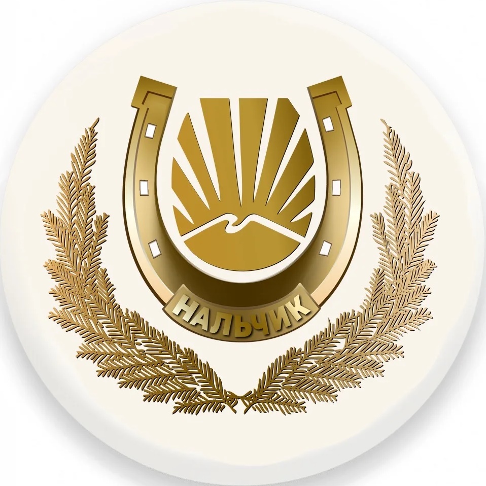 Иконка Канал Местная администрация г.о. Нальчик — портал Max