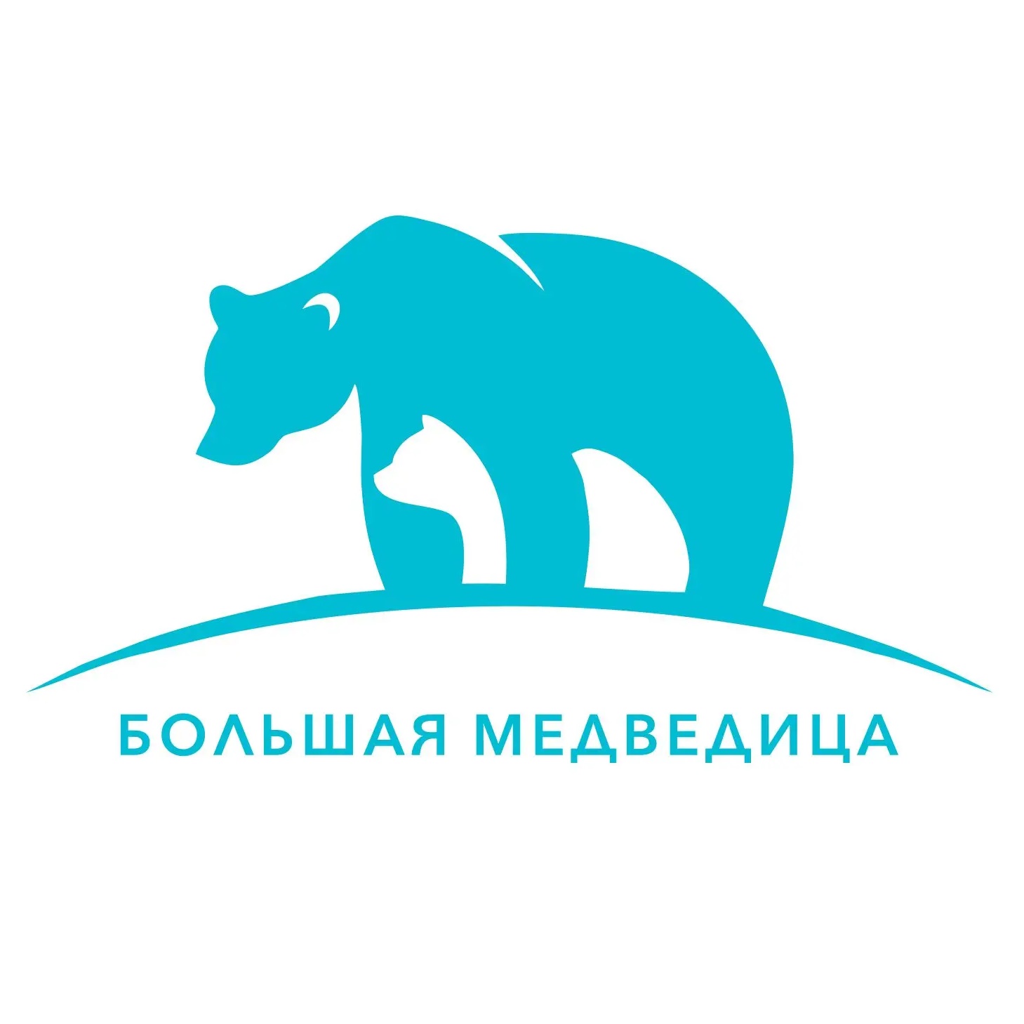 Иконка Канал Большая Медведица — портал Max