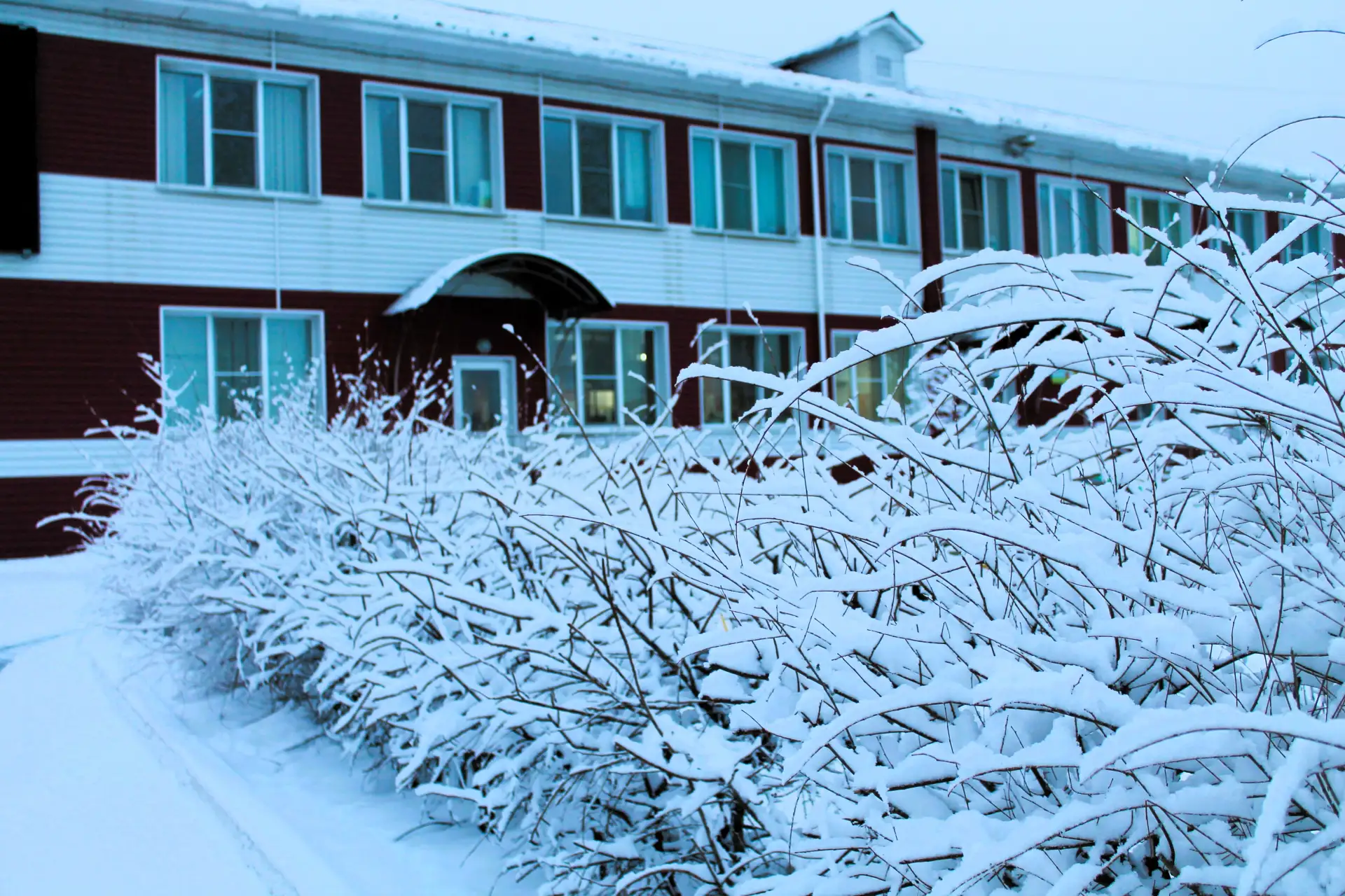 Иконка Канал МБДОУ Детский сад Колосок с. Екатериновка — портал Max