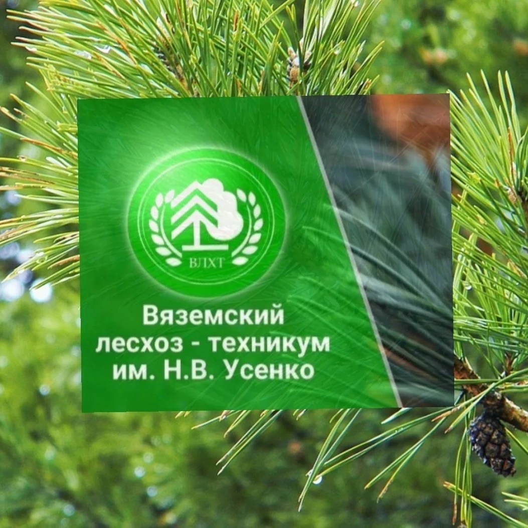 КГБ ПОУ ВЛХТ🌿 — Канал Макс рейтинг КГБ ПОУ ВЛХТ🌿