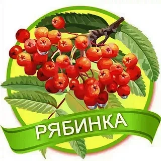 Иконка Канал МДОУ д/с "Рябинка" г. Балашова — портал Max