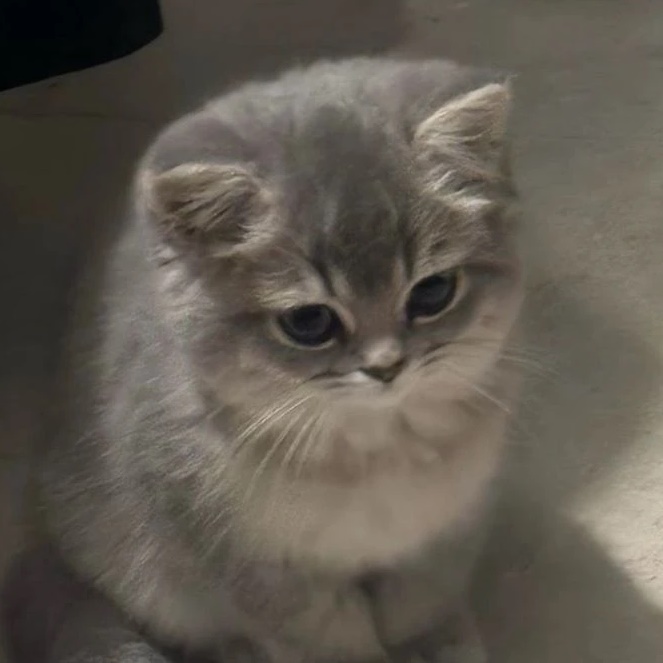 Иконка Канал Мод на тикток — портал Max