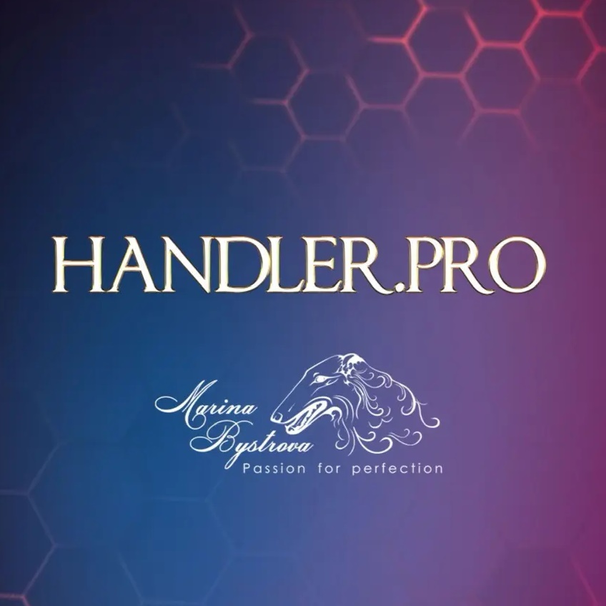 Иконка Канал Handler.pro Хендлинг и груминг | Марина Быстрова — портал Max