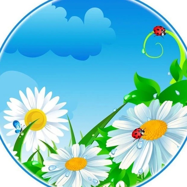 Иконка Канал МДОУ детский сад "Ромашка" — портал Max