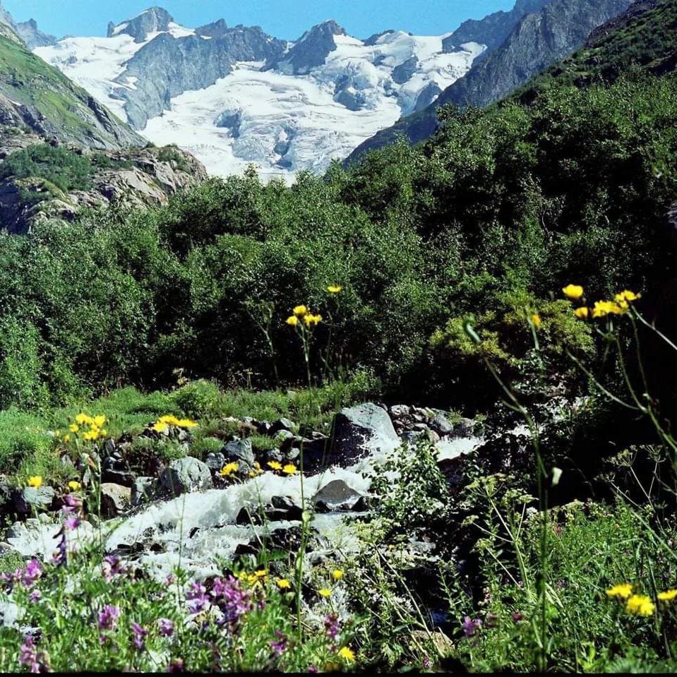 Иконка Канал Администрация Джингирикского сельского поселения — портал Max