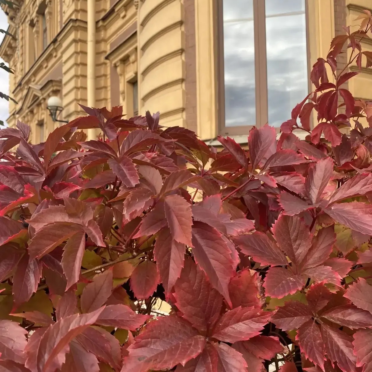 Иконка Канал ГБДОУ детский сад № 4 Адмиралтейского района Санкт-Петербурга — портал Max