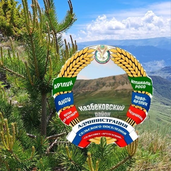 Иконка Канал АСП "сельсовет Артлухский" — портал Max