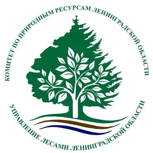 Иконка Канал Управление лесами Ленинградской области — портал Max