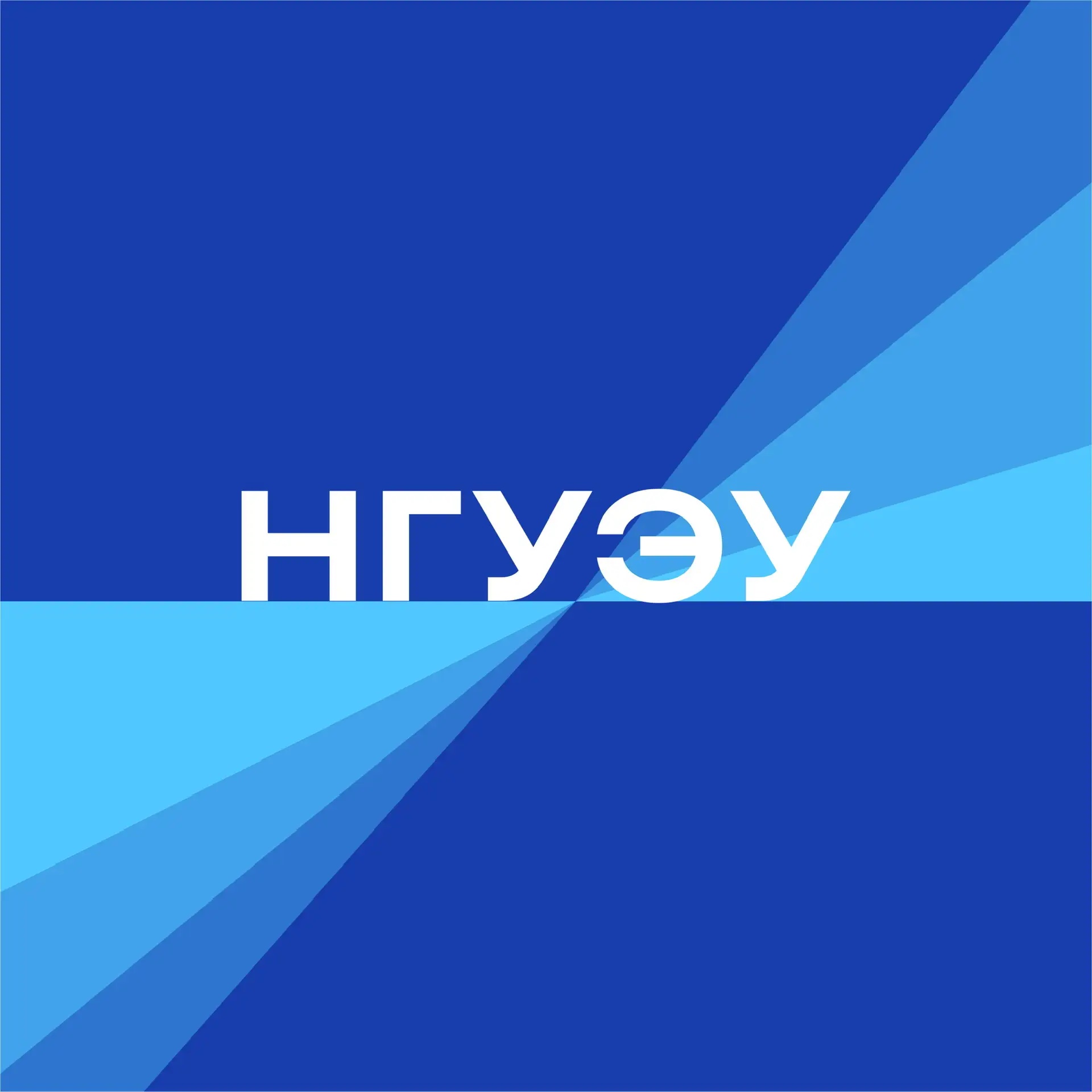 Иконка Канал НГУЭУ — портал Max